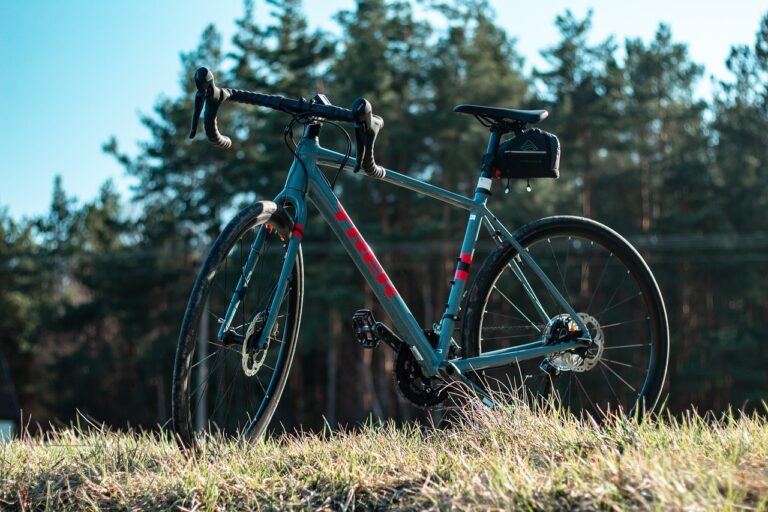 The Role of Infrastructure in Cricket’s Global Growth