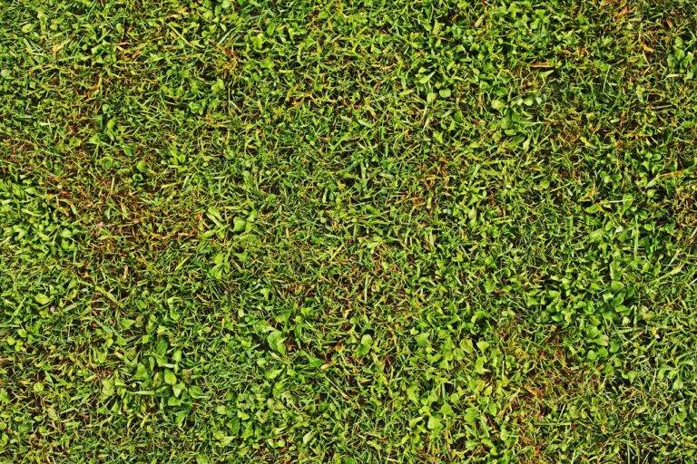 How IPL Franchises Foster Community Engagement Beyond Cricket Matches