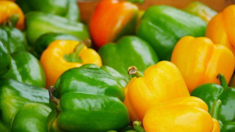 How Telehealth Is Improving Access to Mental Health Services