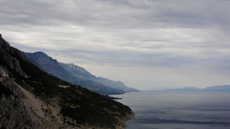 How To Access Cricbet99 Win Club Official Login Page?